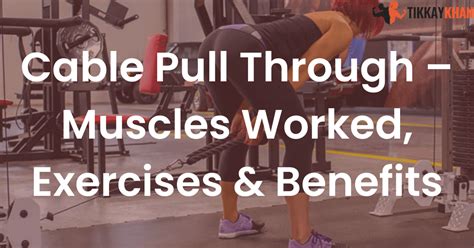 Cable Pull Through Muscles Worked Exercises And Benefits