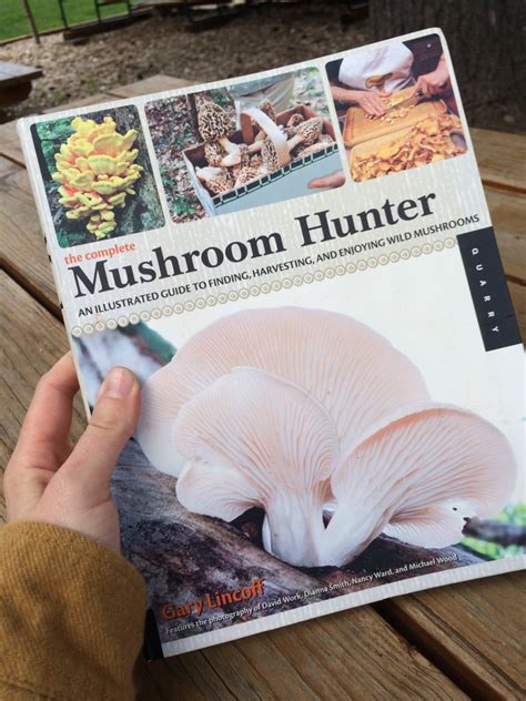 Choosing A Mushroom Field Guide Yellow Elanor