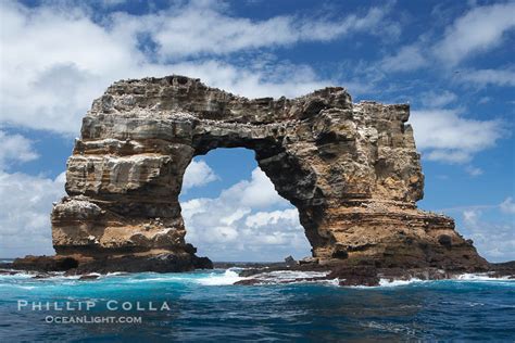 The collapse of darwin's arch, the attractive natural bridge found less than a kilometre from the main area of darwin island, was reported, the ministry said. Photo of Darwin's Arch, Galapagos - Natural History ...