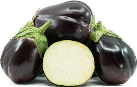 Black Beauty Eggplant Information And Facts