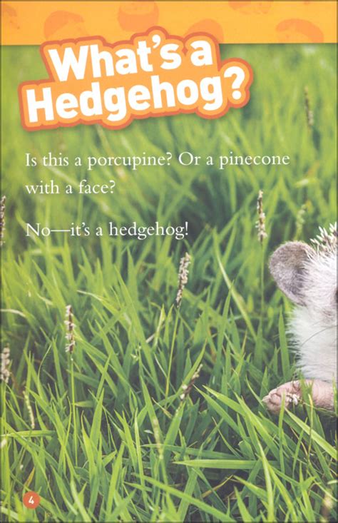 Hedgehogs National Geographic Reader Level 1 National Geographic