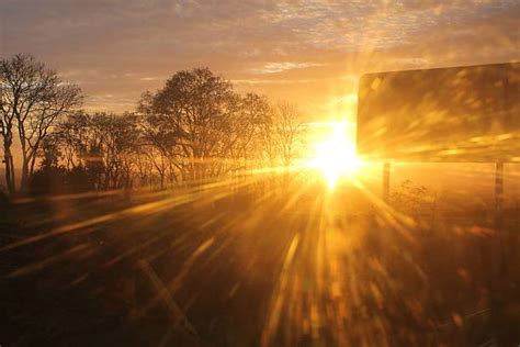 Blinding Sunshine Stock Photos Pictures And Royalty Free Images Istock