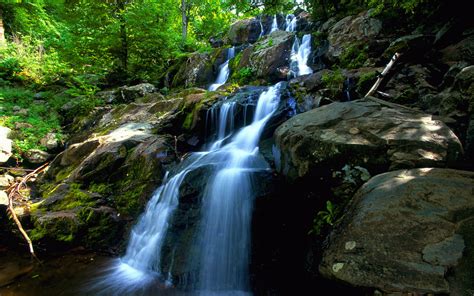 Forest Waterfall Free Desktop Wallpapers For Widescreen