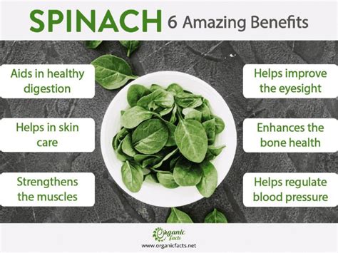 Spinach Top 15 Benefits Nutrition And Recipes Organic Facts