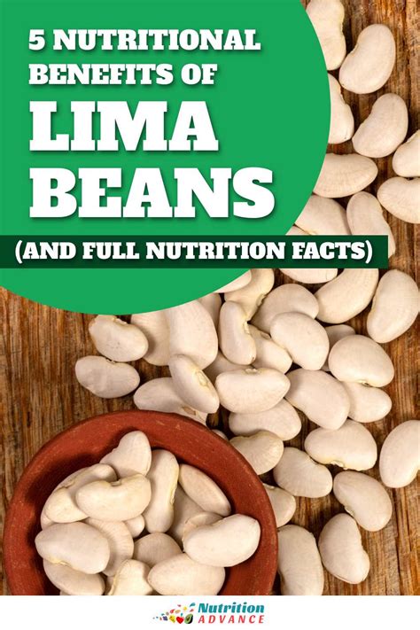 5 Nutritional Benefits Of Lima Beans And Nutrition Facts