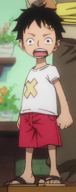 Image Luffy As A Child In The Animepng One Piece Wiki Fandom