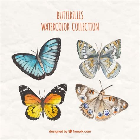 Premium Vector Watercolor Decorative Butterflies Set