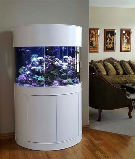 220 Gallon Half Moon Fish Tank Buy 220 Gallon Aquarium Fish Tank
