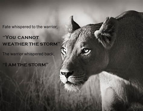 I Am The Storm Are You Leo Quotes Sassy Quotes Woman Quotes Epic