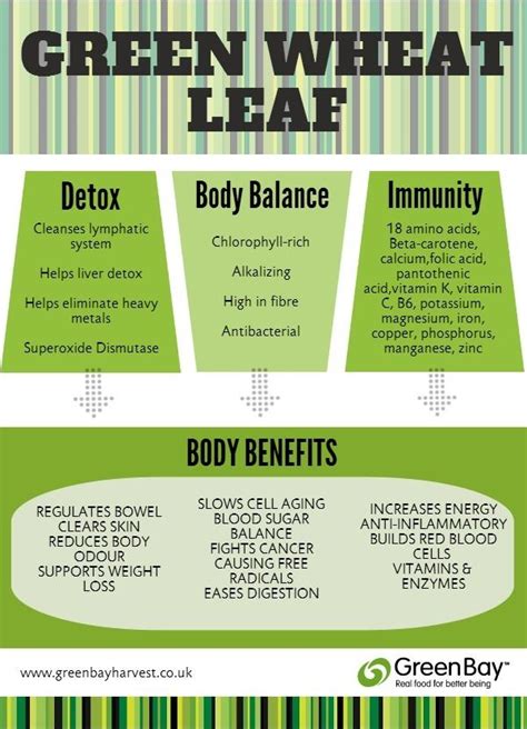 Product Guide | Real Food For Better Being | How to increase energy