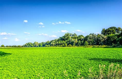 Meadow Green Sky · Free Photo On Pixabay