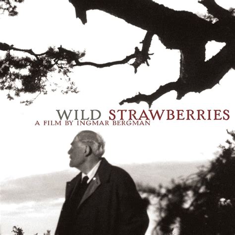 Possibly ingmar bergman's finest film and a landmark in film history. Wild Strawberries (1957) Victor Seastrum (Ingmar Bergman ...