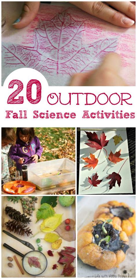 Addition + subtraction by danica mckellar 50 wacky things animals do: 20 Fall Science Experiments for Kids - Edventures with Kids