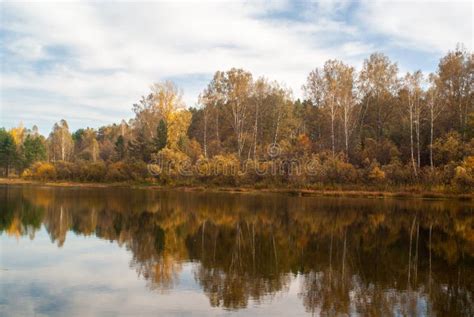 Picturesque Autumn Forest On The Banks Of The Siberian River Stock