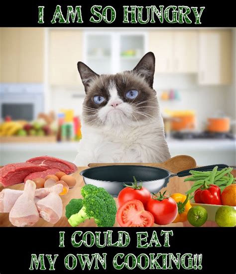 Grumpy Cat Is So Hungry She Could Eat Her Own Cooking