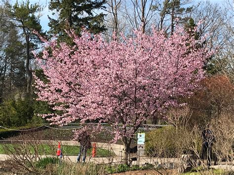 A Visit To The Toronto Botanical Garden