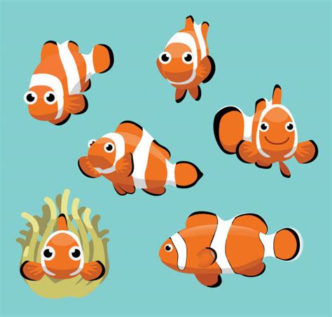 Clown Fish Illustrations Royalty Free Vector Graphics And Clip Art Istock