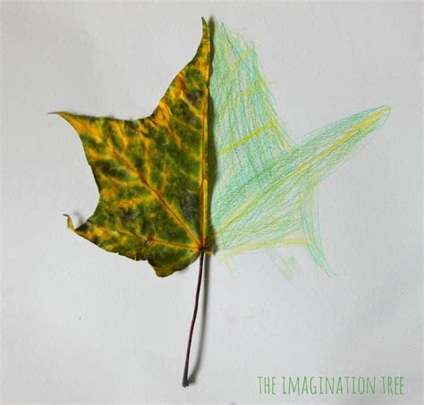 30 Simple Leaf Drawing Ideas How To Draw Leaf Harunmudak