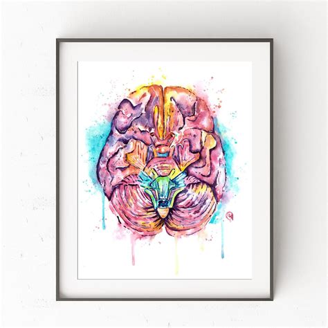 Brain Art Anatomy Art Brain Print Prints Brain Human | Etsy | Anatomy art, Brain art, Floral 