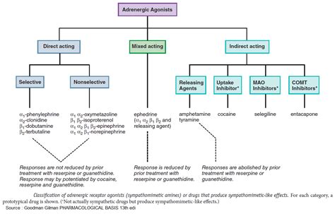 Classification Of Adrenergic Receptor Agonists Sympathomymetics