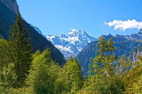 46589 Swiss Alps Summer Green Photos Free And Royalty Free Stock