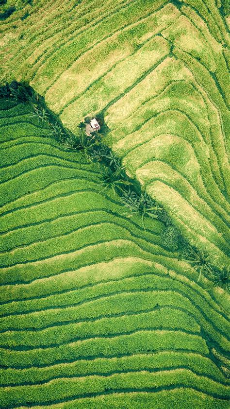 Rice Terraces Aerial View Hd Phone Wallpaper Peakpx