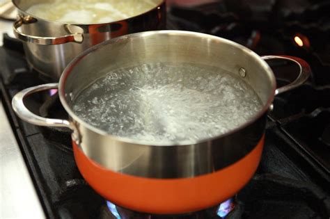 How To Boil Boiling As A Basic Cooking Method Yiannis Lucacos