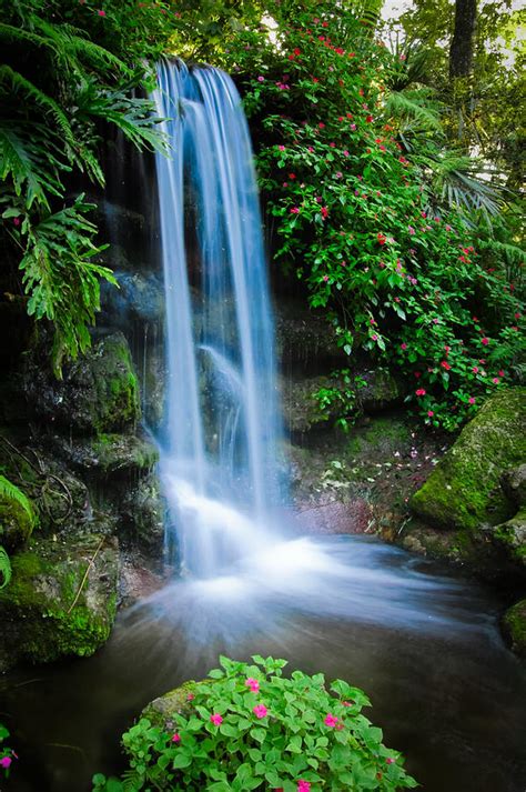 Rainbow Springs Waterfall Photograph By Richard Leighton Pixels