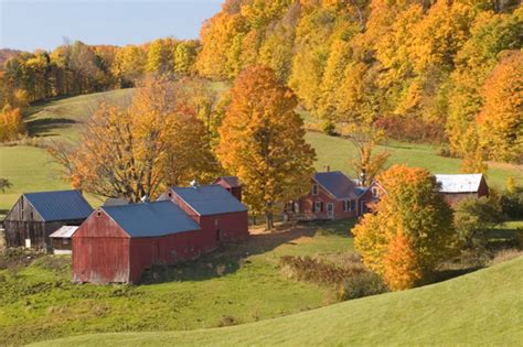 Harvest Recipes From Vermont Sheknows