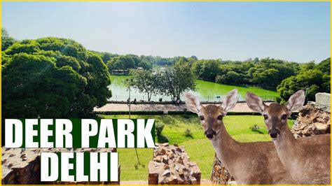 Deer Park Delhi Best Place To Visit In Delhi Hauz Khas Village