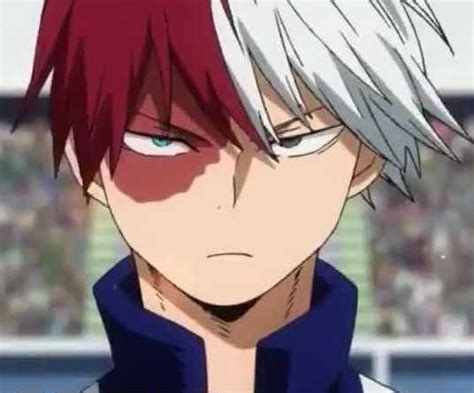 Shoto Todoroki Wallpaper Nawpic