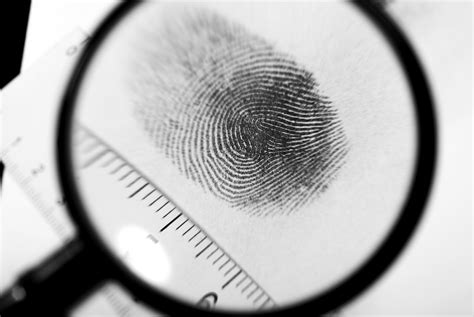 Why Do We Have Fingerprints Live Science