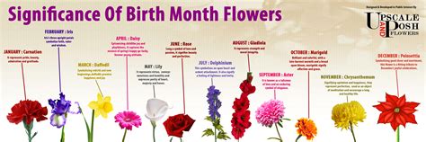 Flowers By Month Explanation - GoldWiser Conroe