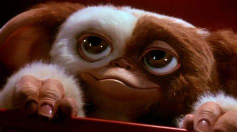 Primera Imagen De Gizmo En Gremlins Secrets Of The Mogwai Hobby Consolas