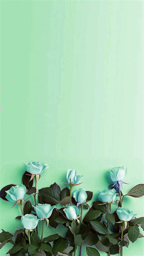 Download Mint Green Roses Flat Lay Wallpaper