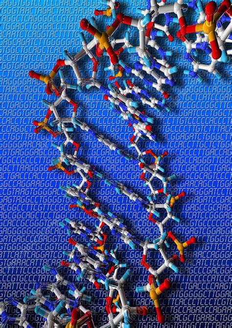Dna Artwork Stock Image G1100540 Science Photo Library