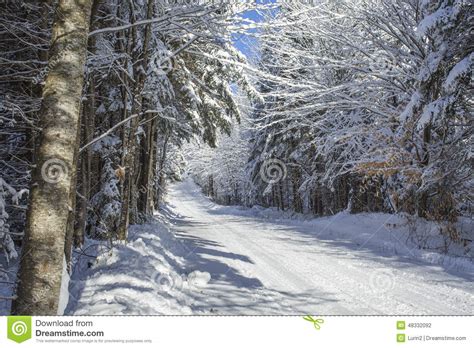 Beautiful Winter Country Road Stock Photo Image Of