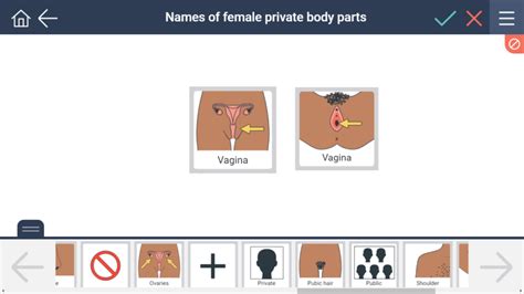 Names Of Female Private Body Parts Womens Business Secca