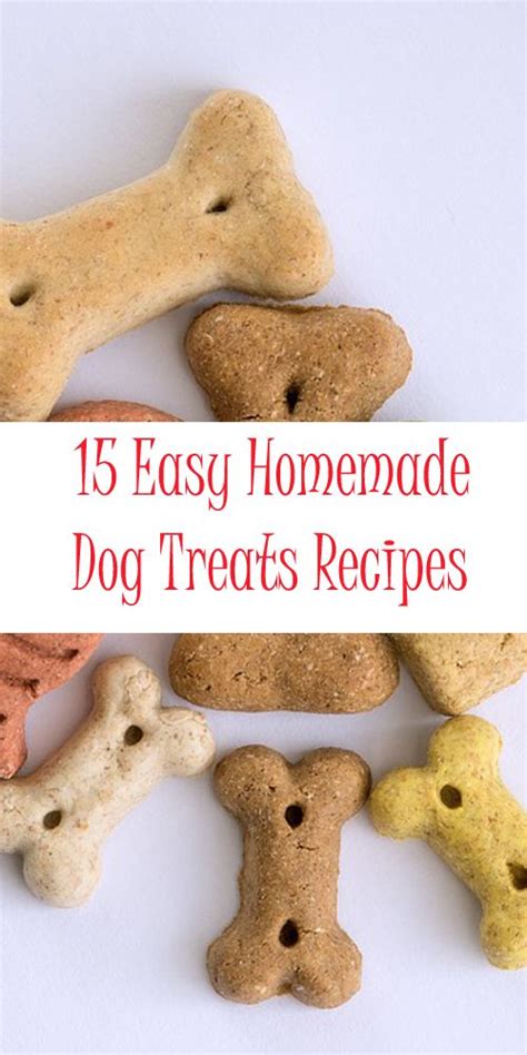 15 Easy Homemade Dog Treats Recipes Poochn Cat Dog Treats Homemade