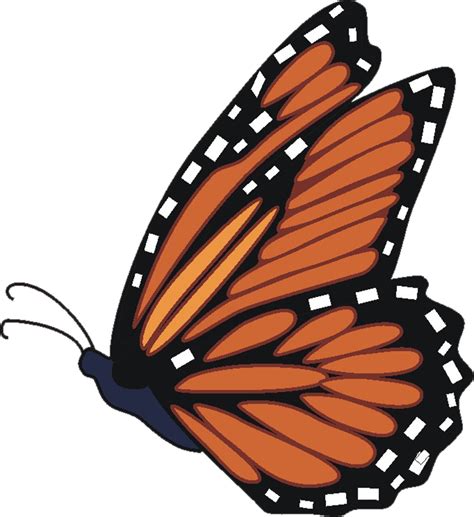 Monarch Butterfly Flying Drawing Clip Art Library