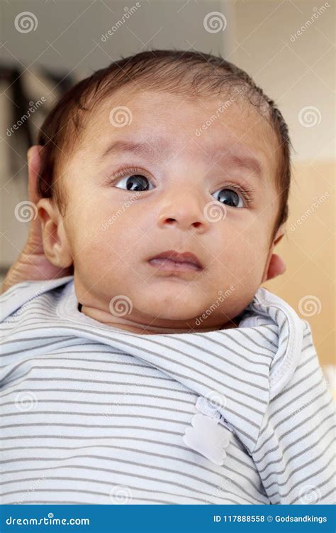 Newborn Baby Close Up Stock Photo Image Of Body Boys 117888558