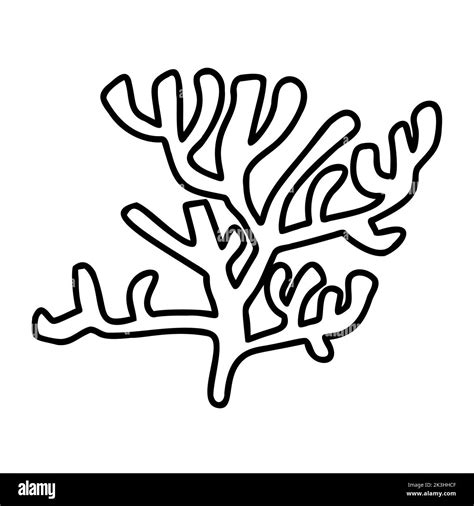 Underwater Algae Seaweed Ocean Doodle Hand Drawn Vector Illustration