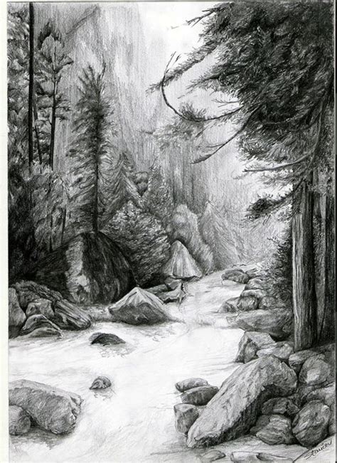 Pencil Drawing Of A Forest At Paintingvalley Com Explore Collection Of Pencil Drawing Of A Forest