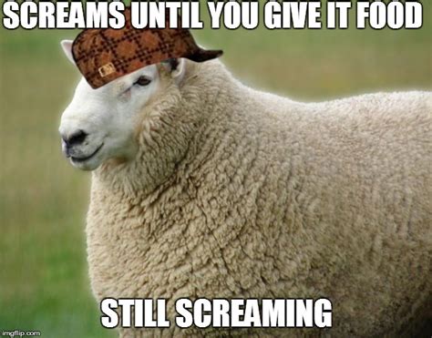 Thank You Sheep Meme