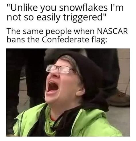 Unlike You Snowflakes Im Not So Easily Triggered The Same People