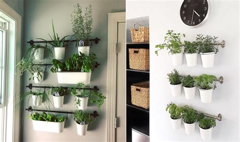 10 Amazing Indoor Kitchen Herb Gardens In 2020 Herb Garden In Kitchen Indoor Herb Garden