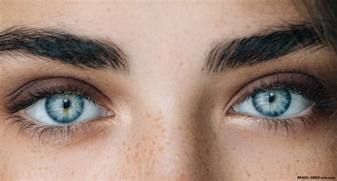 The Best Colored Contact Lenses For Your Eye Color