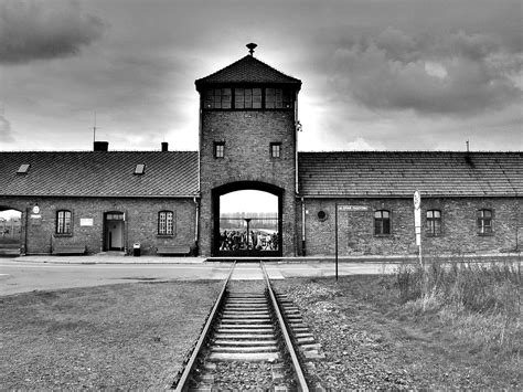 Prisoners in all of the auschwitz camps were forced to wear striped attire and have their heads shaved. Auschwitz
