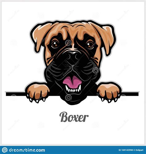 Dog Face Boxer Vector Illustration Flat Style Front
