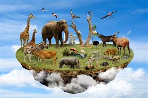 Biodiversity On Earth Being Reduced At Alarming Rate Move Fm News